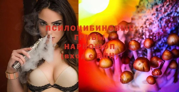 индика Михайлов