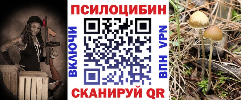 Псилоцибиновые грибы мицелий  Судак 
